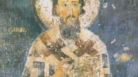 Sveti Sava, Aloja i tradicija prirodnog lečenja